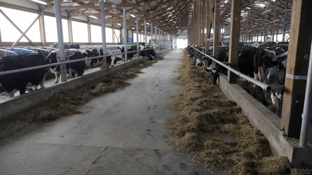 KLIMATO KAITOS CENTRAS – KAUNO RAJONE?